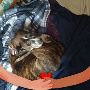 Meet your Posher, Bobby